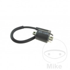 High Coil (Original Spare Part) OEM 700.16.22