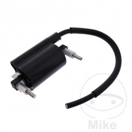 High Coil (Original Spare Part) OEM 700.23.01