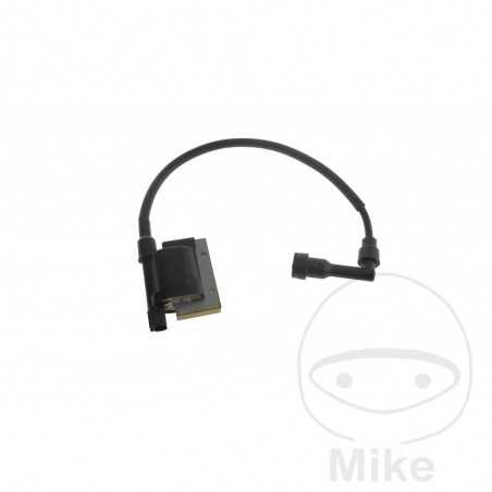 High Coil (Original Spare Part) OEM 700.24.90