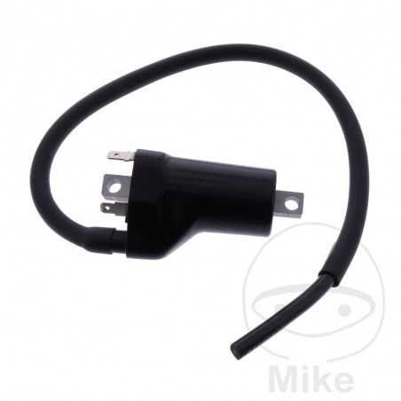 Bobina de alta (Recambio Original) OEM 700.25.10