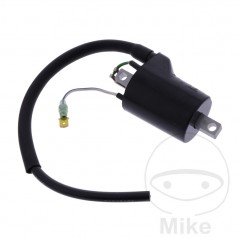 High Coil (Original Spare Part) OEM 700.25.13