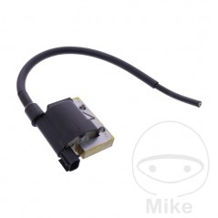 Bobina de alta (Recambio Original) OEM 700.30.47