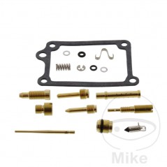 TOURMAX Kit completo reparación carburador 724.19.11