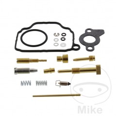 TOURMAX Kit completo reparación carburador 724.19.22