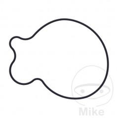 Water pump cover gasket OEM 734.73.38