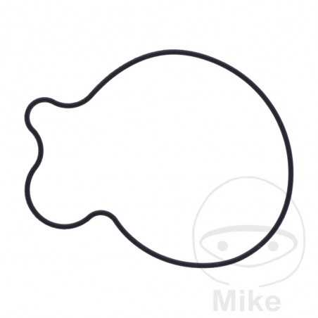 Water pump cover gasket OEM 734.73.38