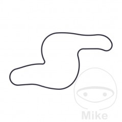 Water pump cover gasket OEM 734.73.66