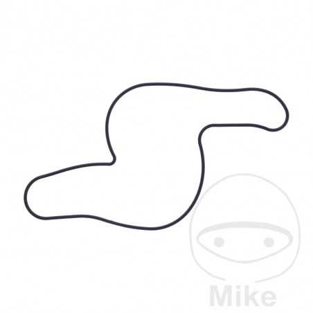 Water pump cover gasket OEM 734.73.66