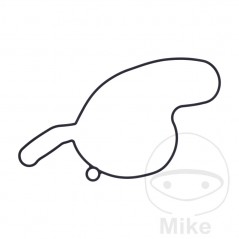 Water pump cover gasket OEM 734.73.74