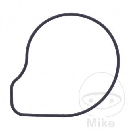 Water pump cover gasket OEM 734.73.79