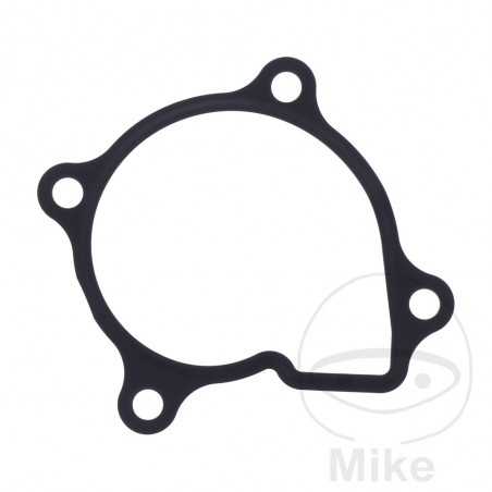Water pump cover gasket OEM 734.73.99