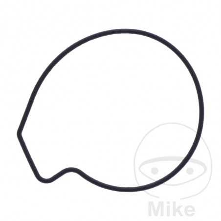 Water pump cover gasket OEM 734.74.70