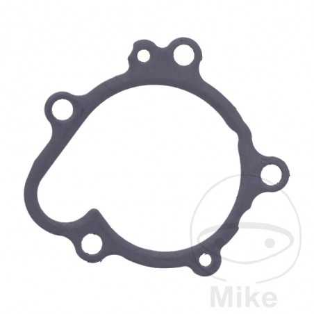 Water pump cover gasket OEM 734.74.71
