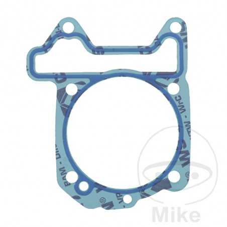 cylinder base gasket OEM 734.79.43