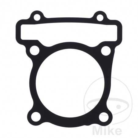 cylinder base gasket OEM 734.79.73