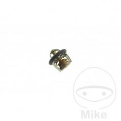 Termostato refrigeración motor OEM 781.00.70