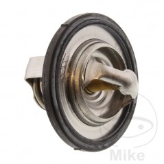 Termostato refrigeración motor OEM 781.00.85