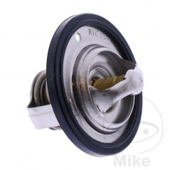 Termostato refrigeración motor OEM 781.00.94