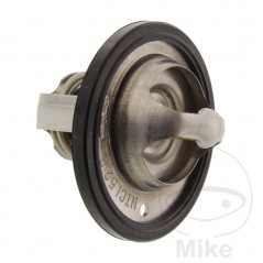 Termostato refrigeración motor OEM 781.01.02