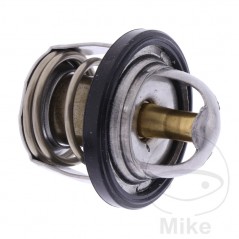 Termostato refrigeración motor OEM 781.01.17