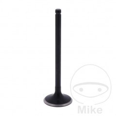 Admission valve OEM 747.15.21