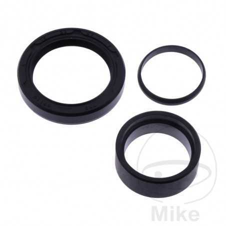 ALL BALLS Output gear repair kit 734.07.17