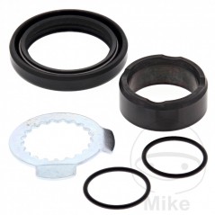 ALL BALLS Output gear repair kit 734.71.08