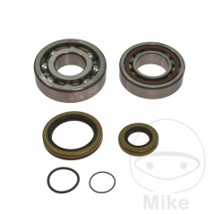 ALL BALLS Set of crankshaft bearings with seals 756.01.02