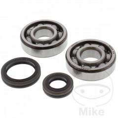TOURMAX Set of crankshaft bearings with seals 756.01.66