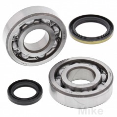 ALL BALLS Set of crankshaft bearings with seals 756.24.36