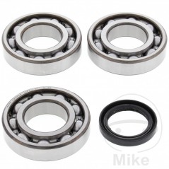 ALL BALLS Set of crankshaft bearings with seals 756.24.42