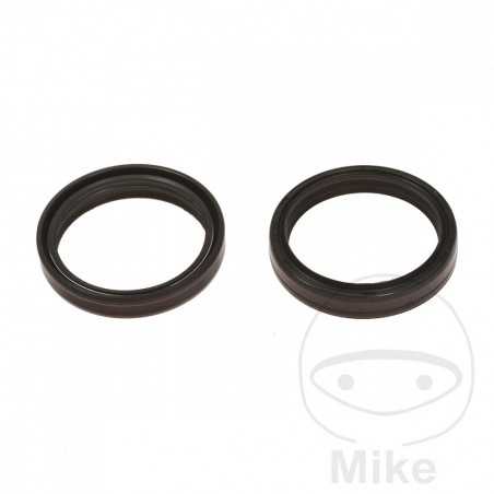 ARI Fork seals set 48 X 57.7 9.5/10.3 734.01.00