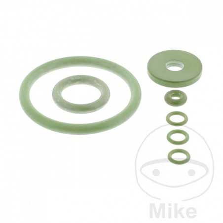 Sprayer gasket kit VITON-DICHTUNG 555.20.91