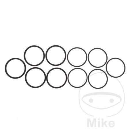 TOURMAX Kit 10 brake caliper repair gaskets 717.08.93
