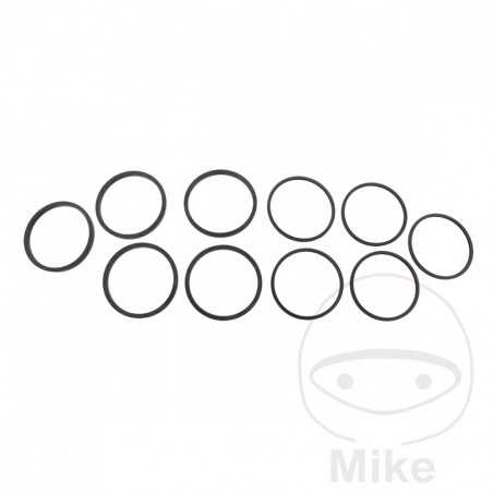 TOURMAX Kit 10 juntas reparación pinza de freno 717.09.00