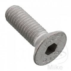 Transmission plate crown screw OEM M8 X 1.25 20 MM 775.50.54