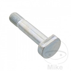 Transmission plate crown screw OEM M10 X 1.25X46MM 775.50.69