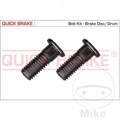 QUICK BRAKE Set of bolts for disc 382.34.28