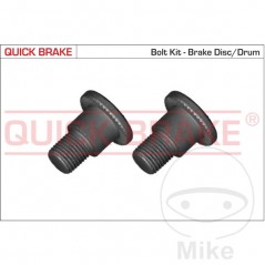 QUICK BRAKE Set of bolts for disc 382.34.32