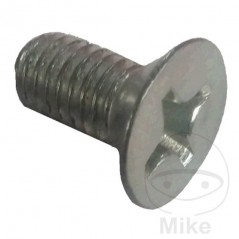 Brake disc screw M6X1X12 382.43.80
