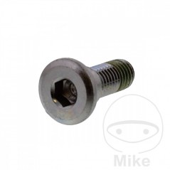 Tornillo para disco de freno OEM M8X1.25X24MM 717.02.06