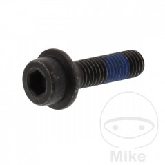 Tornillo para disco de freno OEM M8X1.25X30MM 717.02.15