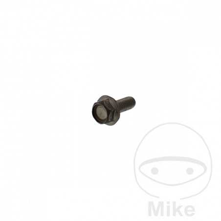 Brake disc screw OEM M6X1.0X16MM 717.02.17