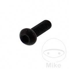 Brake disc screw OEM M8X1.25X20 MM 717.02.18