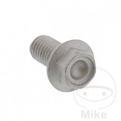 Brake disc screw OEM M8X1.25X16 MM 717.02.52