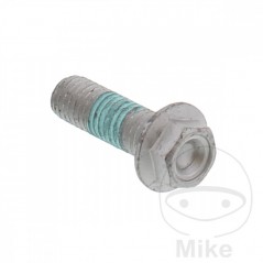 Brake disc screw OEM M8X1.25X25 MM 717.02.54