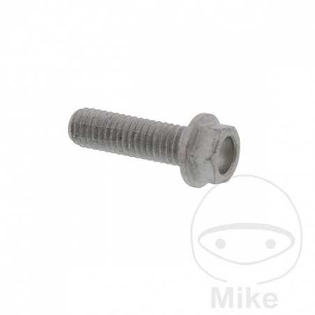 Brake disc screw OEM M6X1.0 20 MM 717.02.89