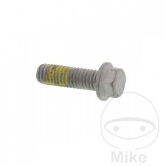 Brake disc screw OEM M6X1.0X19MM 717.02.94