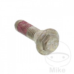 Brake disc screw OEM M8X1.25X30MM 717.02.97