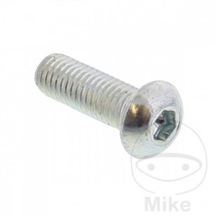 Brake disc screw OEM M8X1.25X20 MM 717.03.07